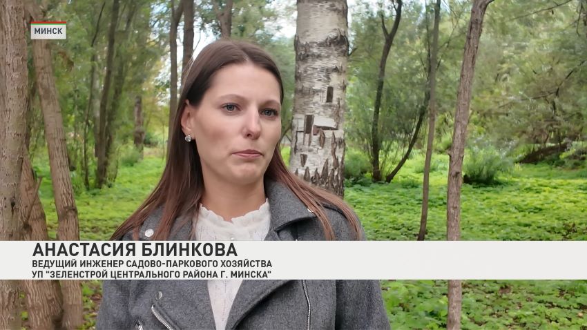 Ко Дню города в Минске откроют новый участок экотропы «Окно в природу»