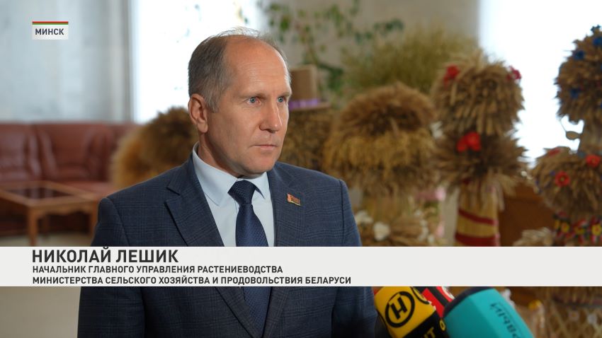 В Беларуси намолочено 9 млн 159 тысяч тонн зерна с учетом рапса