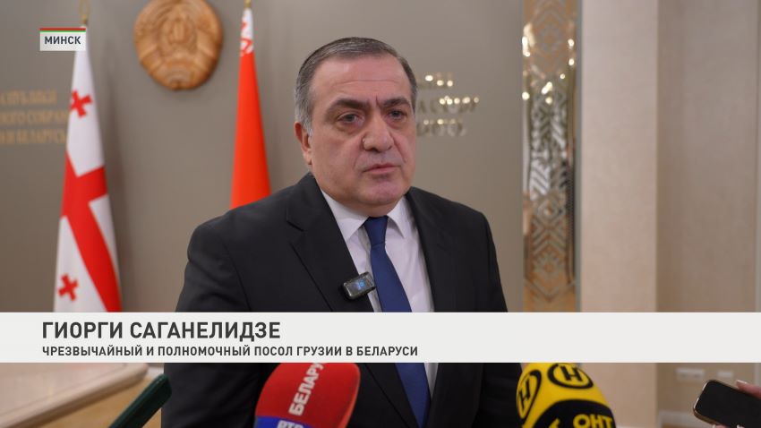 Перспективы межпарламентского сотрудничества Беларуси и Грузии обсудили в Совете Республики