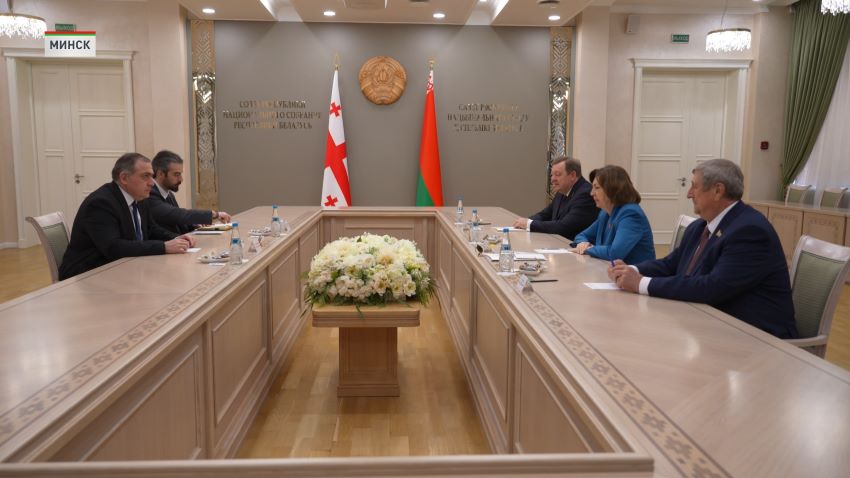 Перспективы межпарламентского сотрудничества Беларуси и Грузии обсудили в Совете Республики