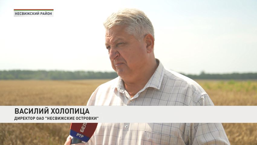 Несвижские аграрии успешно завершили уборку зерновых и рапса