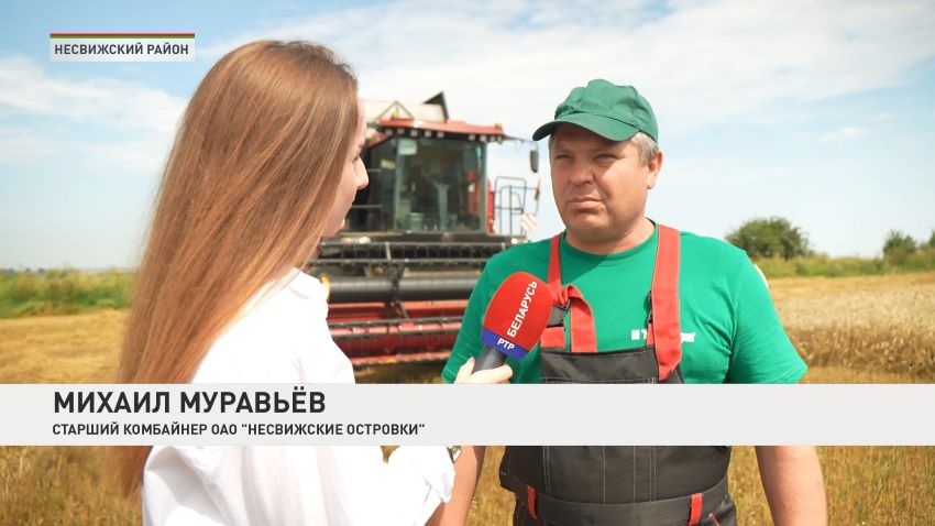 Несвижские аграрии успешно завершили уборку зерновых и рапса