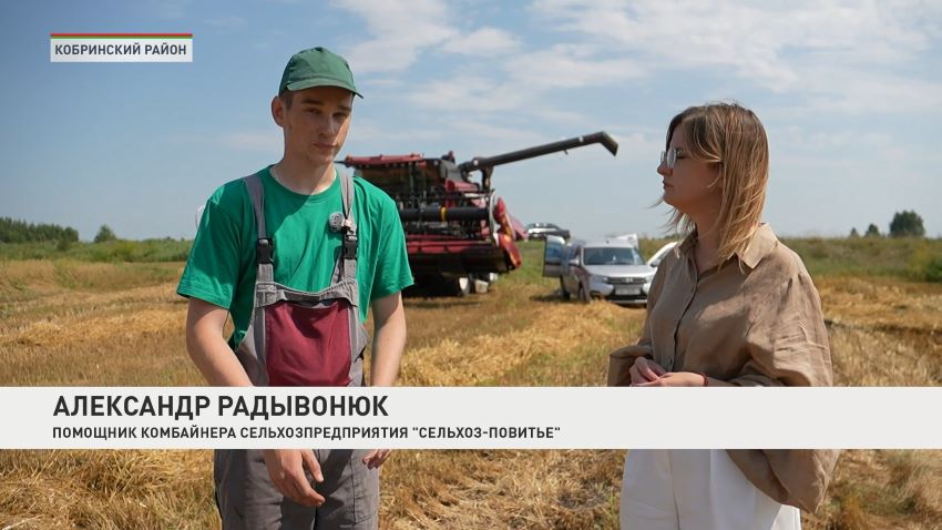 Для оперативного решения вопросов уборочной в Беларуси создано 18 мобильных групп