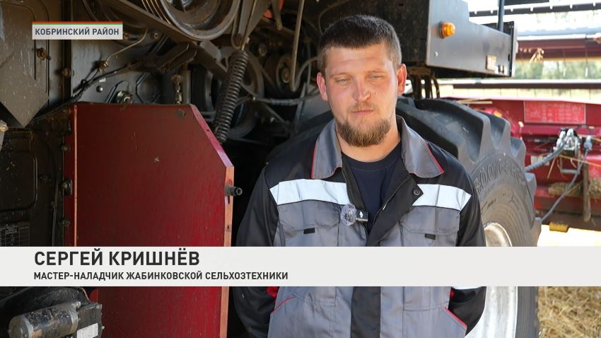 Для оперативного решения вопросов уборочной в Беларуси создано 18 мобильных групп