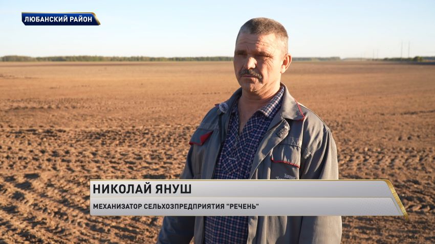  Картофель в Беларуси убрали с 60% запланированных площадей