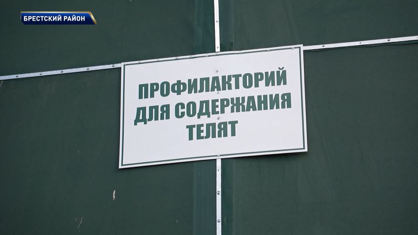 Более 500 профилакториев для телят введено в эксплуатацию в Беларуси с начала 2026 года 