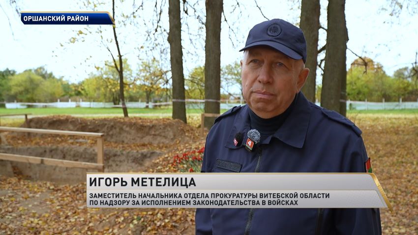 Массовое захоронение жертв Великой Отечественной войны найдено в Оршанском районе