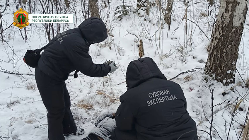 Очередная жертва европейского гостеприимства. 