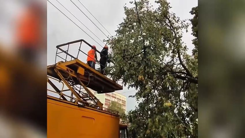 Последствия непогоды устраняют в пострадавших районах Беларуси