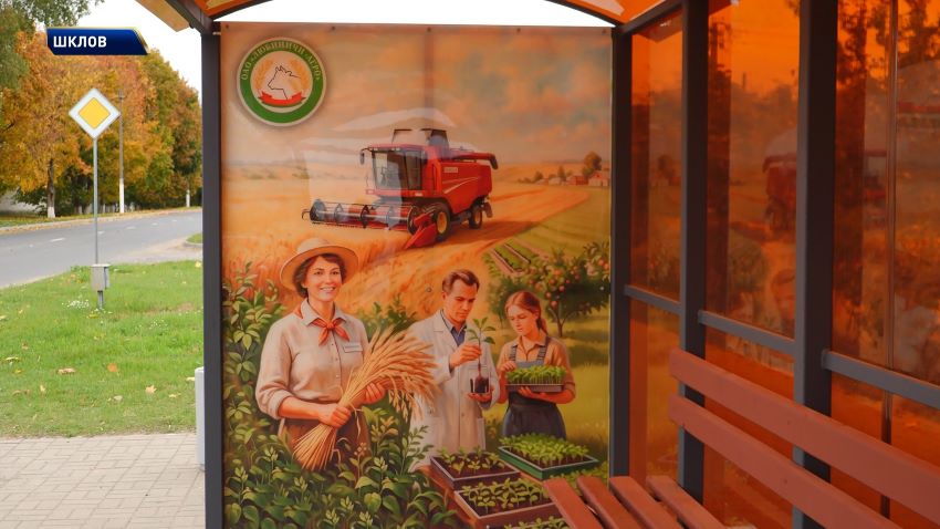 Главный праздник урожая: посмотрели, как Шклов готовится к областным «Дожинкам-2026»