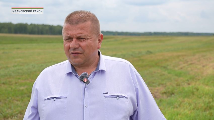 Первый укос трав проведен более чем на 50% запланированных площадей в Беларуси