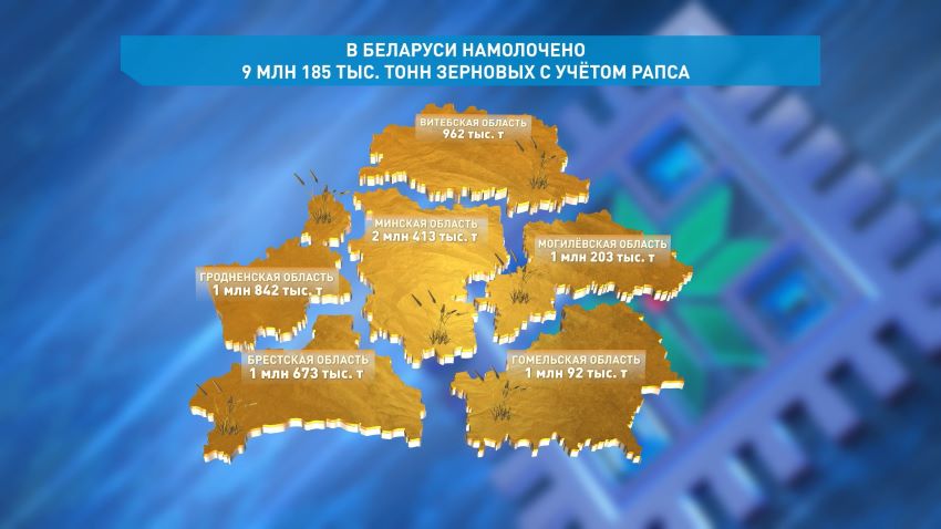Экзамен выдержан: 9 млн 185 тыс. тонн зерновых с учетом рапса намолочено в Беларуси