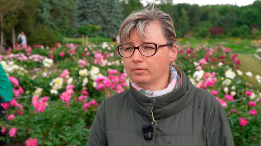 В Ботаническом саду Минска зацвели пионы и ирисы – показываем эту красоту