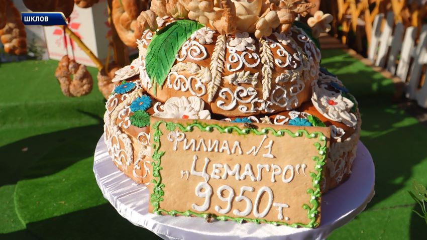 Праздничные гуляния и поздравления от Президента: как отметили «Дажынкi» в Калинковичах и Шклове