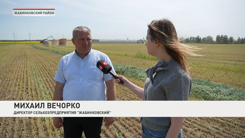 Яровые культуры в Беларуси посеяли на 81% от запланированных площадей 