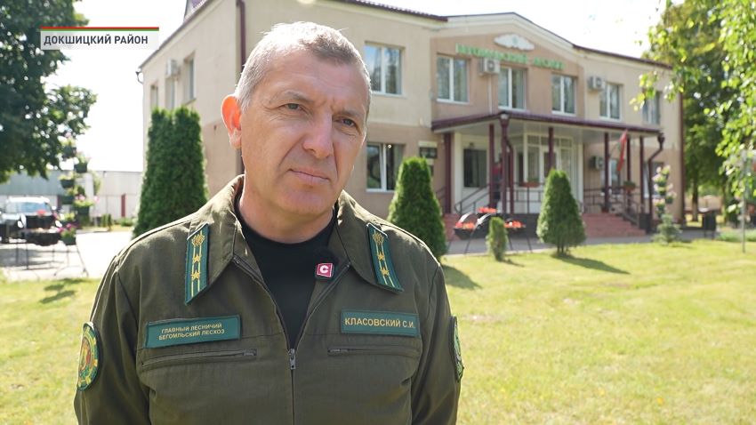 В Бегомльском районе спасают поврежденный ураганом лесной массив