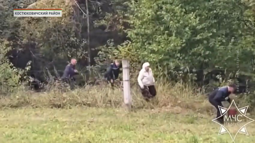 За сутки в лесах Витебщины спасатели нашли четверых заблудившихся грибников