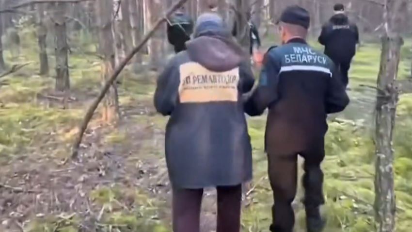 За сутки в лесах Витебщины спасатели нашли четверых заблудившихся грибников