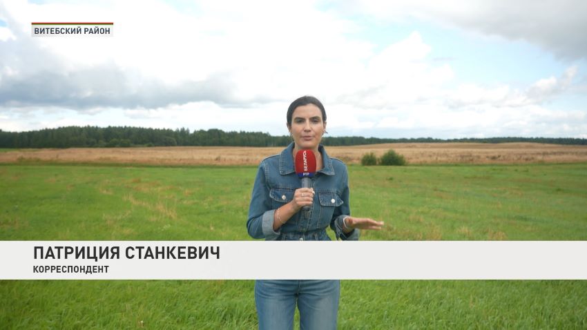 Волонтеры-поисковики из Татарстана присоединились к международной «Вахте Памяти» в Витебском районе 