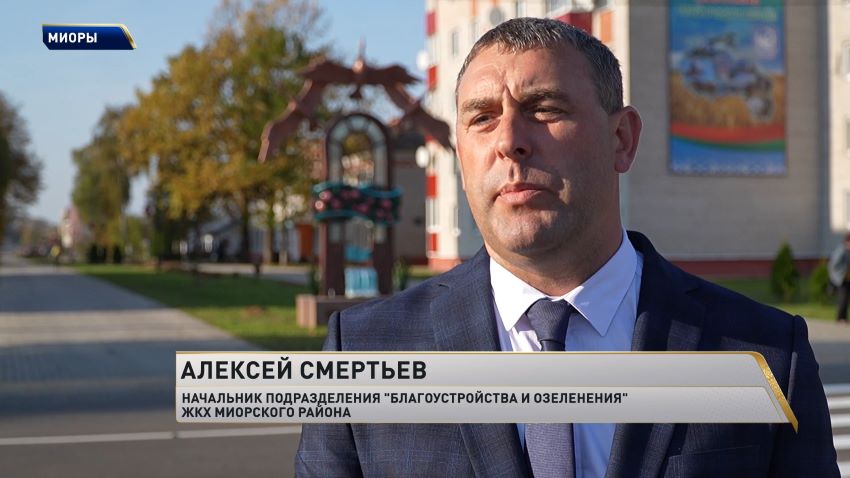 Белорусские аграрии намолотили более 9,9 млн тонн зерна с учетом рапса и кукурузы