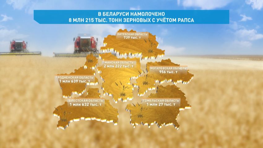 В Беларуси намолочено 8,2 млн тонн зерна с учетом рапса – Минсельхозпрод