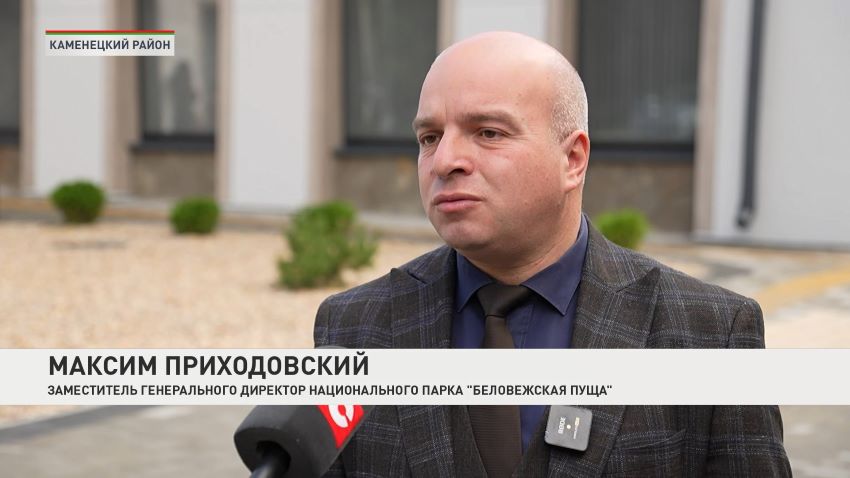 «Зубр-фест» в Беловежской пуще: что ждет гостей 25 и 26 сентября