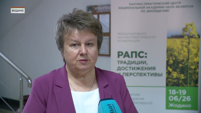 Белорусские аграрии планируют собрать 1,1 млн тонн семян рапса в 2026 году