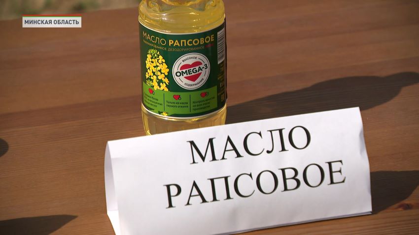 Белорусские аграрии планируют собрать 1,1 млн тонн семян рапса в 2026 году