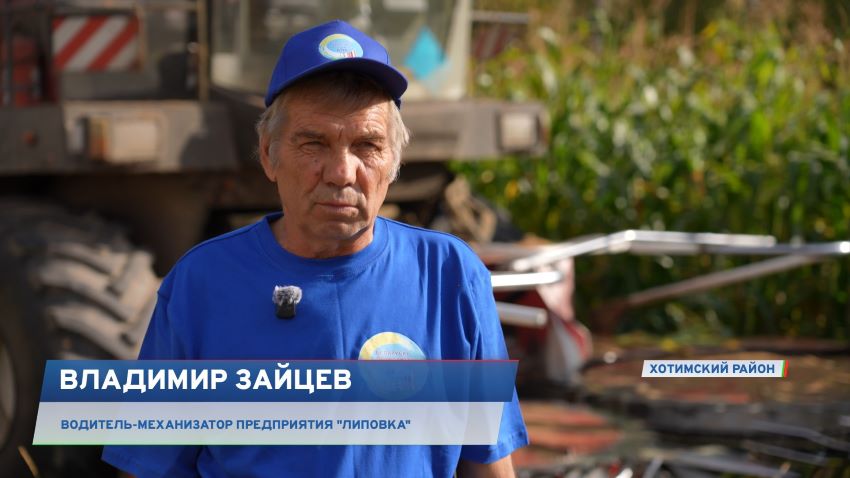 Беларусь собирает «лайки»! Флешмобы ко Дню народного единства наполнили соцсети белорусов
