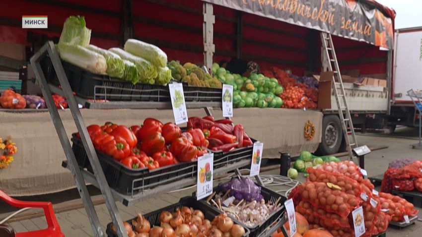 От свежих овощей и мяса до наливных яблок и сладкого меда: cезонные сельхозярмарки вернулись в Минск