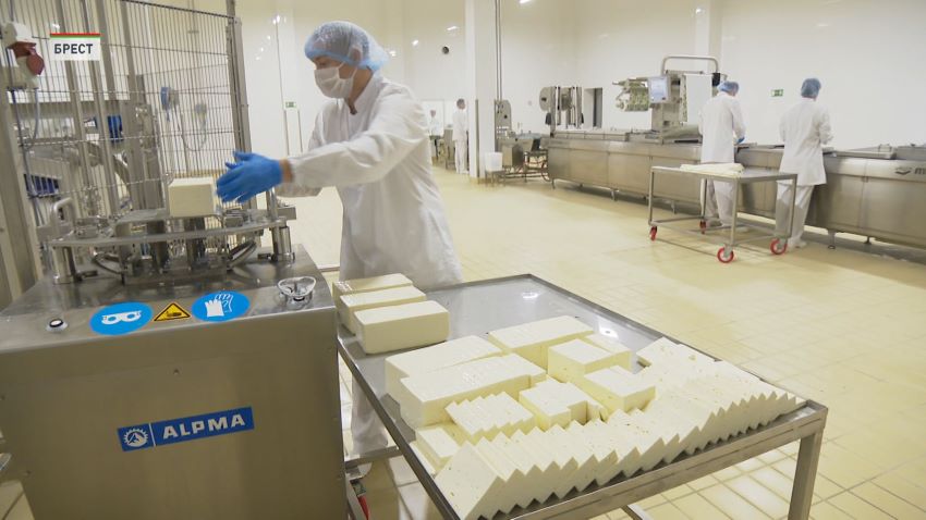 Беларусь обеспечивает около 6% мирового экспорта молочной продукции