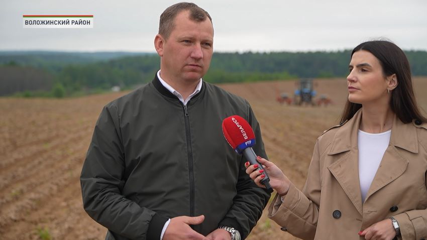 Сев яровых и кукурузы в Беларуси выходит на финишную прямую