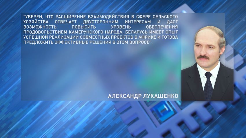 Лукашенко: Беларусь готова предложить Камеруну эффективные решения в сфере сельского хозяйства