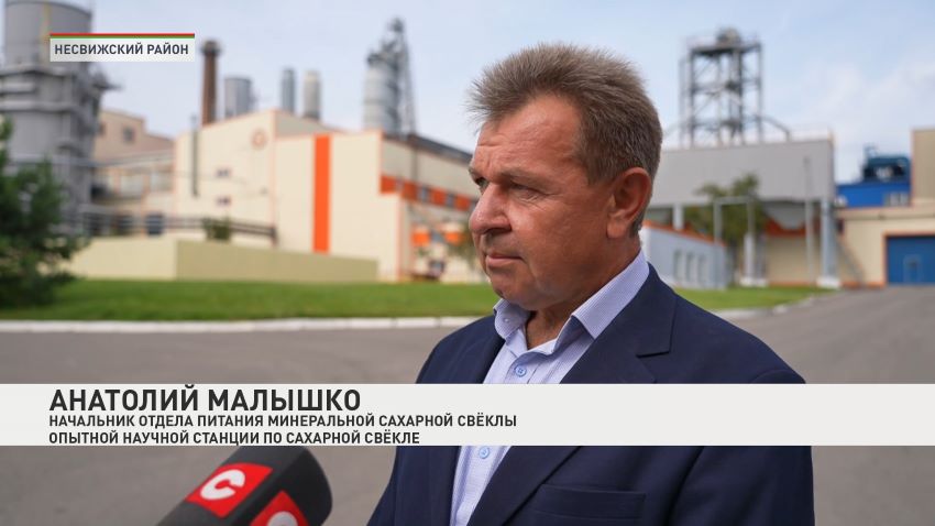 В Беларуси планируют собрать 5 млн тонн сахарной свеклы