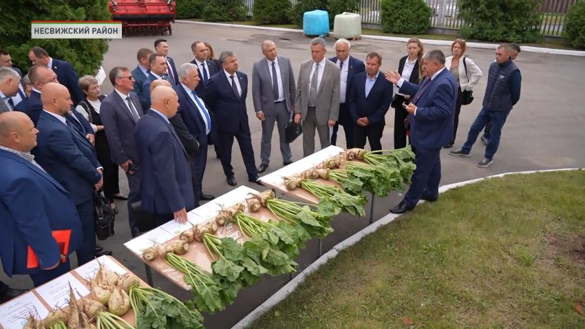 В Беларуси планируют собрать 5 млн тонн сахарной свеклы