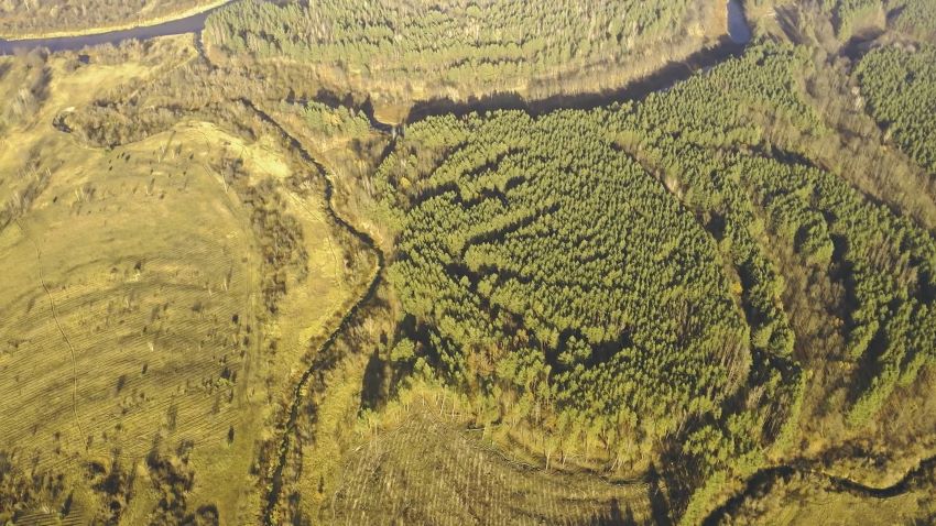 Минск и Архангельск способны на большее – Лукашенко