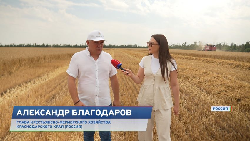 Не хуже иномарок! За что российские аграрии ценят белорусскую технику?