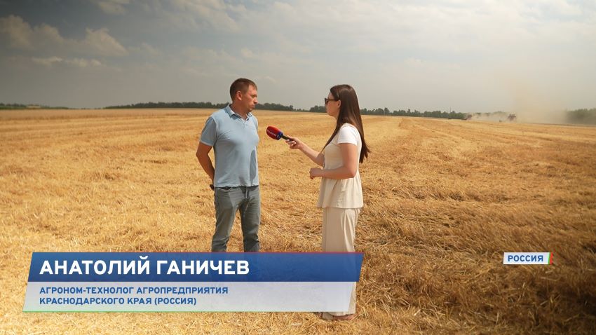 Не хуже иномарок! За что российские аграрии ценят белорусскую технику?