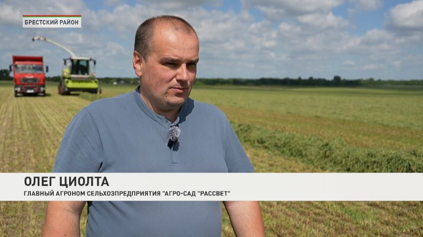 В Беларуси начали заготовку кормов