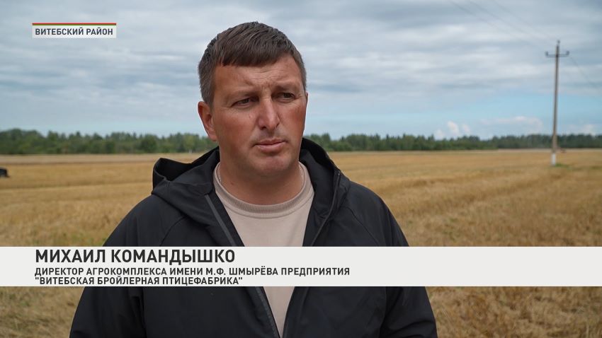 Жатва – дело общее. Белорусские аграрии помогают друг другу в уборке урожая