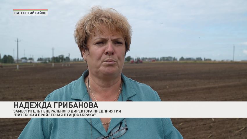 Жатва – дело общее. Белорусские аграрии помогают друг другу в уборке урожая