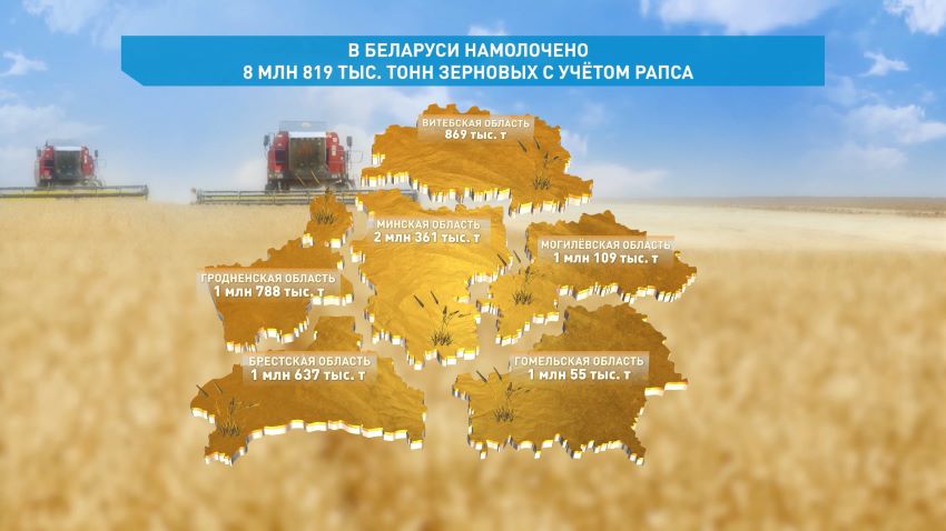 Аграрии Беларуси намолотили более 8,8 млн тонн зерна с учетом рапса