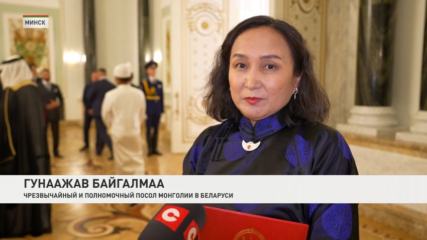 На языке дипломатии. Лукашенко принял верительные грамоты послов 9 государств