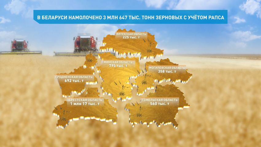 В Беларуси намолочено более 3,6 млн тонн зерновых с учетом рапса