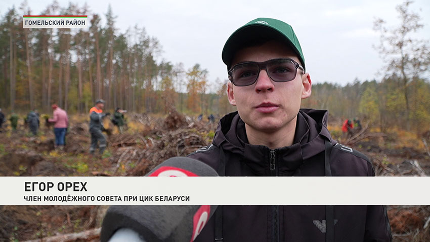 ЦИК