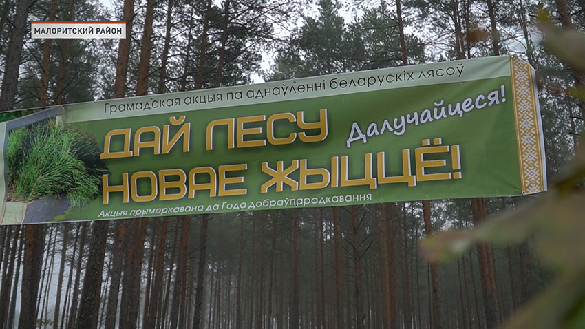 Акция