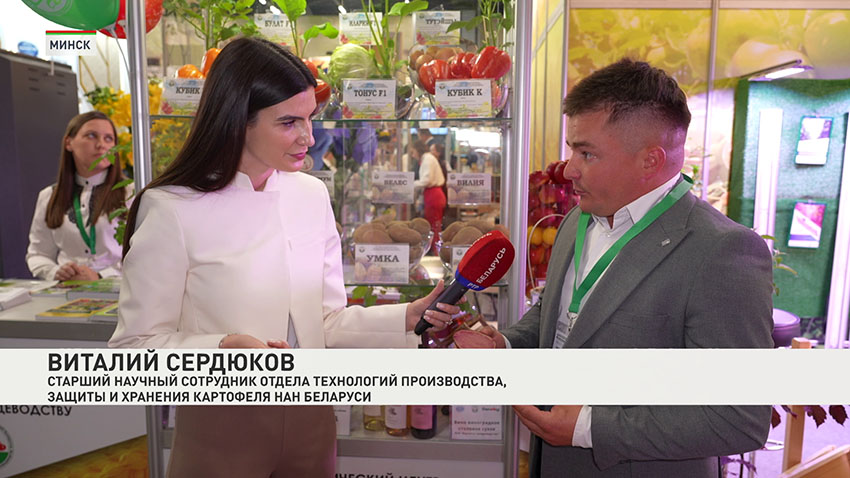 Выставка
