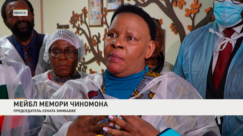 Мейбл Мемори Чиномона, председатель Сената Зимбабве