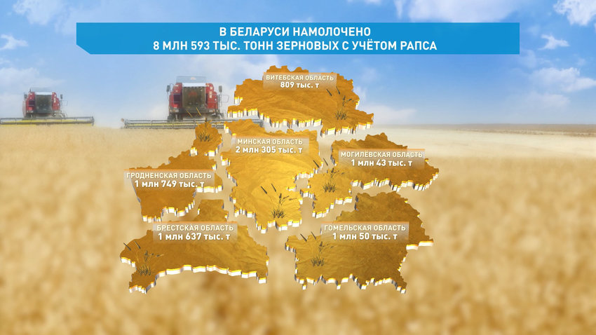 Белорусские аграрии намолотили 8 млн 593 тысячи т зерновых с учетом рапса