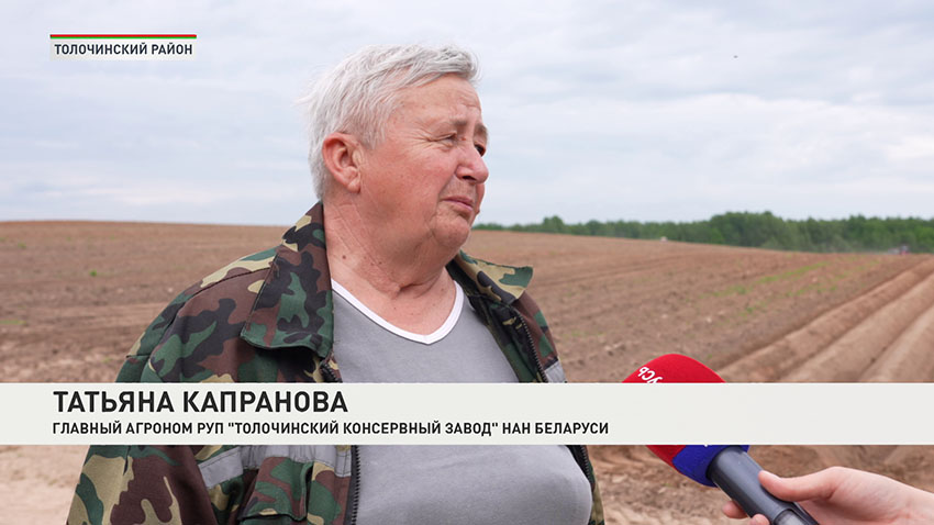 Картошка